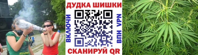 купить закладку  Зеленогорск  Канабис AK-47 